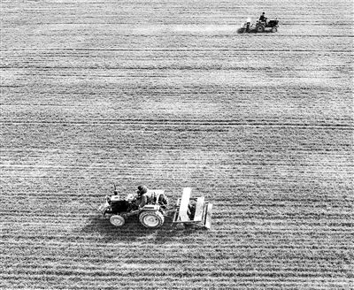 世纪官网：安徽：专家到田间，把“麦”促丰产
